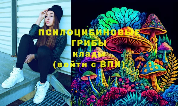 дживик Россошь