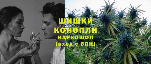 дживик Россошь