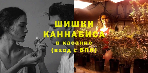 дурь Рославль