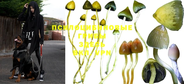 крисы Алексеевка