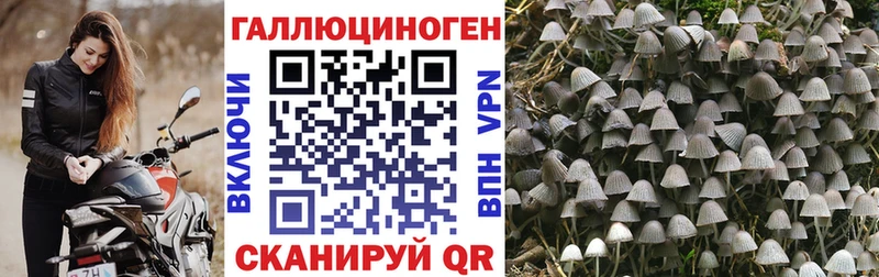 Псилоцибиновые грибы MAGIC MUSHROOMS Боровичи